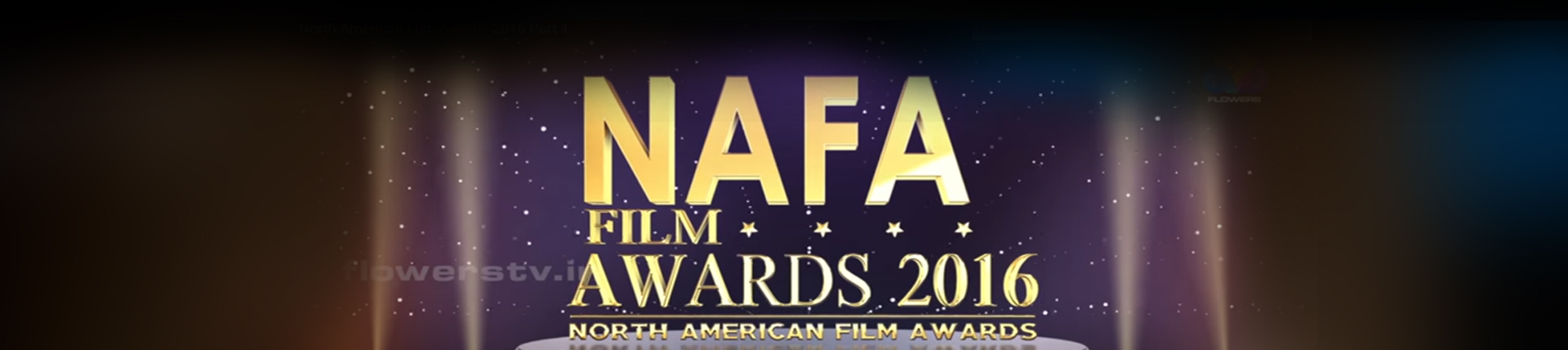 Nafa Online Voting